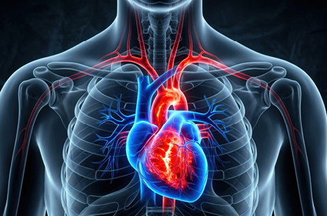 Photo of CUORE E VASI: LE MALATTIE PIÙ FREQUENTI